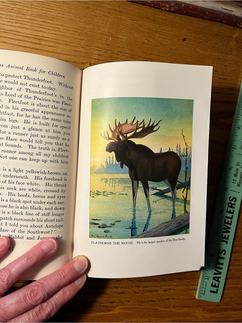1920 Burgess Animal Book for Children - Hardcover color bookplates - Picture 5 of 16
